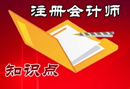 注冊會計(jì)師審計(jì)知識點(diǎn)