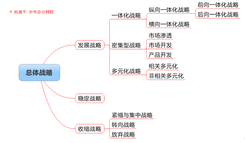 公司戰(zhàn)略與風險管理知識點