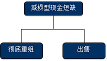 公司戰(zhàn)略與風(fēng)險(xiǎn)管理知識(shí)點(diǎn)