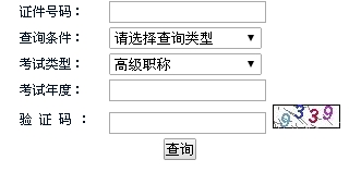 湖南2015年高級(jí)會(huì)計(jì)師考試成績(jī)查詢?nèi)肟谝验_通