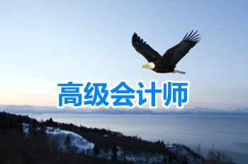 高級會計師知識點問答：內(nèi)部審計部門和審計委員會關(guān)系和職責(zé)