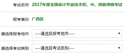 2017年審計師考試報名入口開通