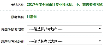 2017年審計(jì)師考試報(bào)名入口