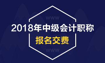 2018年海南中級(jí)會(huì)計(jì)職稱考試現(xiàn)場(chǎng)繳費(fèi)