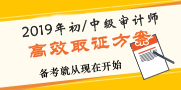 2019年審計(jì)師高效取證招生方案上線 早報(bào)名早學(xué)習(xí)！ 