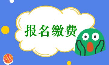 會(huì)計(jì)中級(jí)考試報(bào)名收費(fèi)是在網(wǎng)上繳費(fèi)嗎？