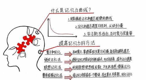 “記憶心理學(xué)”拯救你學(xué)完就忘的苦惱