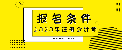 2020年山東濰坊注會考試大?？梢詧?bào)名嗎