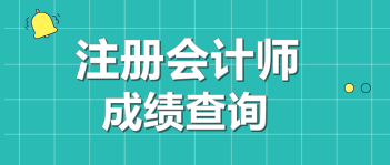 2019年浙江杭州注會成績查詢?nèi)肟谑裁磿r候開通？