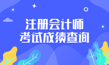 2019年注會成績什么時候查詢？