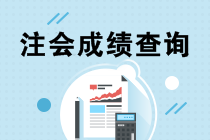 2019注會考試成績什么時候出來？