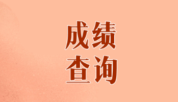 天津2019年CPA成績(jī)查詢