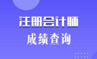 2019海南三亞注會成績什么時候出來？