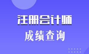 注會考試什么時候可以查詢成績？