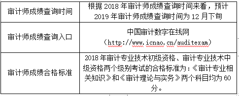 審計(jì)師成績(jī)查詢(xún)