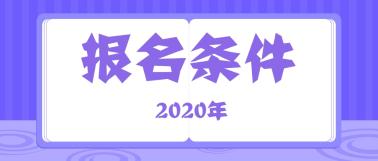 2020年審計師報名條件