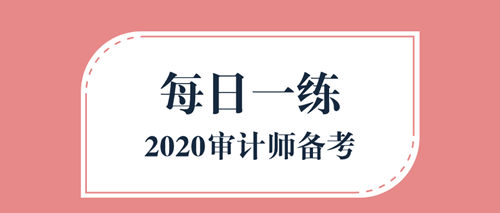 2020審計(jì)師備考