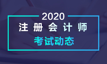 黑龍江2020年注會考試考什么？