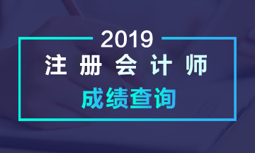 云南2019年注會成績查詢