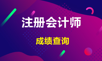 注會2019年成績查詢?nèi)肟谝延?2月20日開通！