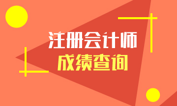 山東省2019年注冊會計師成績查詢時間即將到來！