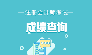 廣東2019注會考試成績查詢