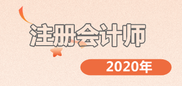 備考2020年考試的你了解注冊會計(jì)師考試科目嗎？