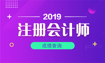 長沙2019注會成績什么時候公布