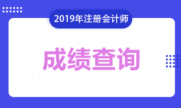 2019年遼寧注會考試成績可以查詢了！