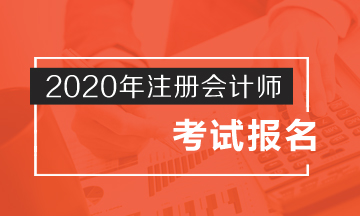 廣東專科能報(bào)名2020注會(huì)考試嗎？