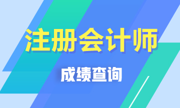 甘肅白銀注冊(cè)會(huì)計(jì)師成績(jī)查詢