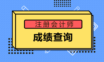 廣東陽江2019年注會成績查詢