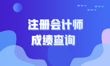 河北張家口注冊會計師成績查詢