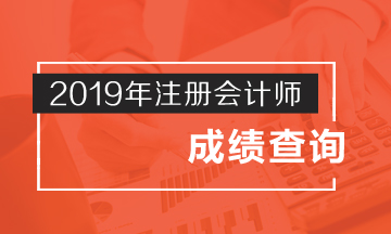 陜西延安2019注會(huì)成績(jī)查詢官網(wǎng)入口已經(jīng)開通啦！