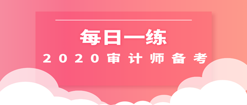 2020審計師每日一練