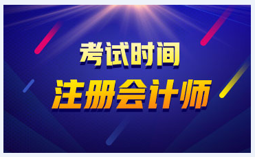 2020注冊會計師什么時候考試？