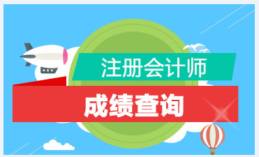 青海2019年注冊會計師什么時候能查成績？