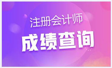 安徽合肥注冊(cè)會(huì)計(jì)師考試成績(jī)查詢