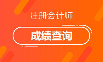 黑龍江鶴崗注冊會計師考試成績查詢