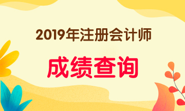 2019年徐州注會(huì)考試成績(jī)查詢(xún)