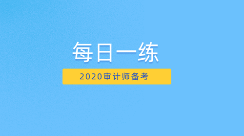 2020審計(jì)師備考