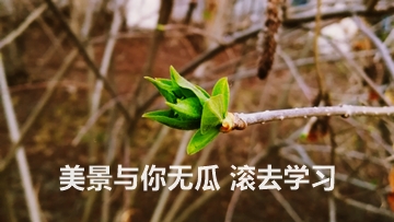 為了高考 我們不能只讀高三！為了考過(guò)CPA 也不能只等4月份！