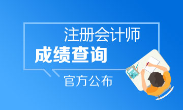 甘肅2019注冊會計師什么時候能查成績？