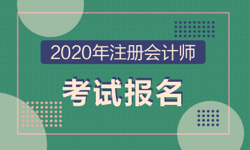 2020年CPA全國(guó)統(tǒng)考的報(bào)名時(shí)間、考試時(shí)間