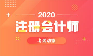 安徽2020cpa考試時(shí)間