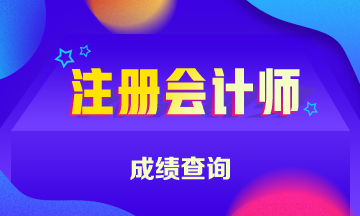 福建2019年注會(huì)成績(jī)查詢(xún)