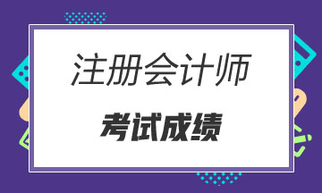 天津2019年注會(huì)成績(jī)查詢