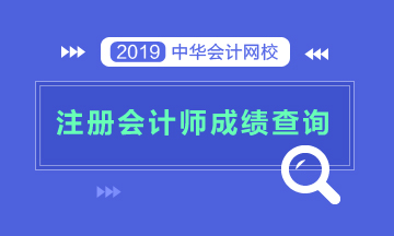 2019年河南CPA成績查詢