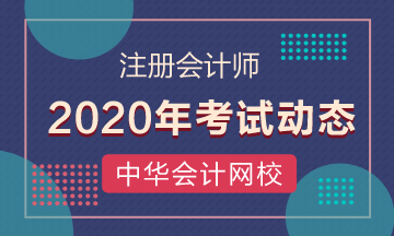 2020年cpa考試時間是哪天？