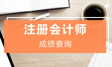 云南2019年注冊(cè)會(huì)計(jì)師官網(wǎng)成績(jī)查詢?nèi)肟陂_(kāi)通了